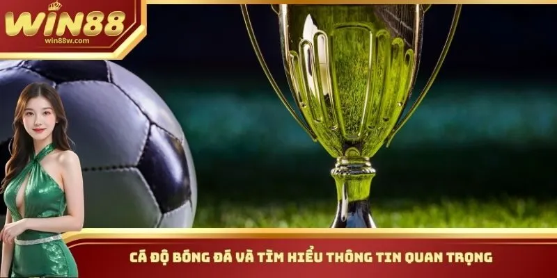 Cá độ bóng đá và tìm hiểu thông tin quan trọng