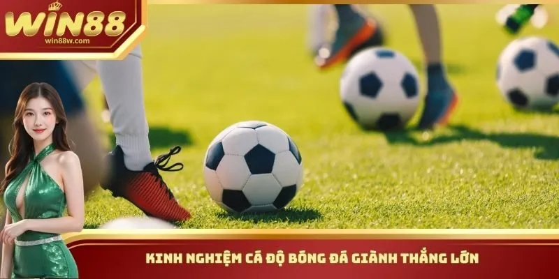 Kinh nghiệm cá độ bóng đá giành thắng lớn